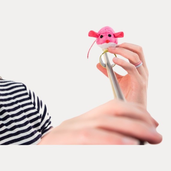 MULTI MOUSE TEACHING AID