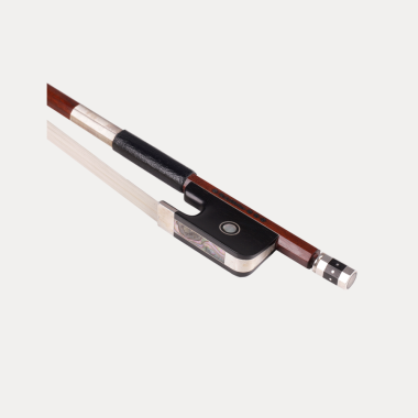 ARC VIOLA W. E. DÖRFLER *** MASTER